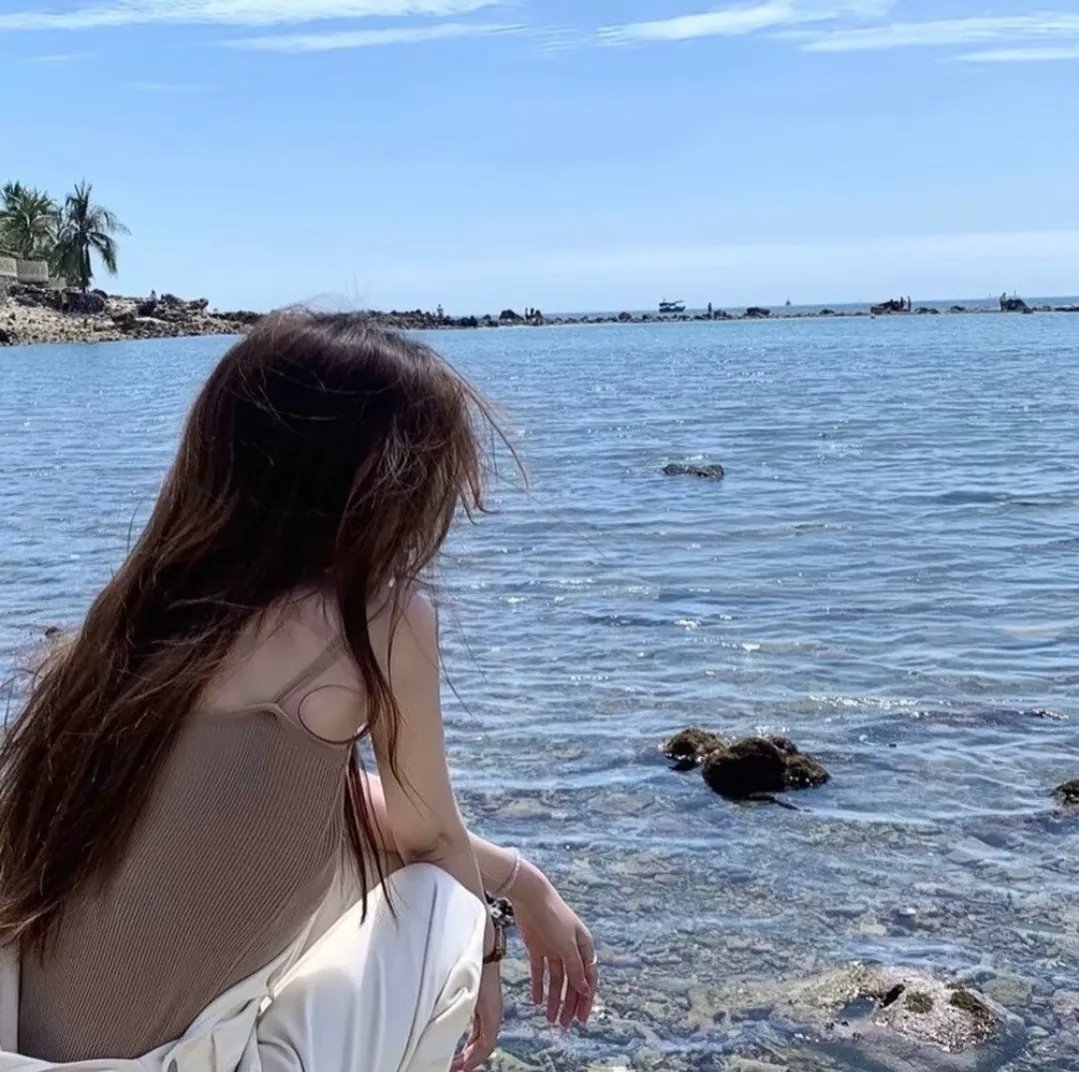 狗纹龙爸爸