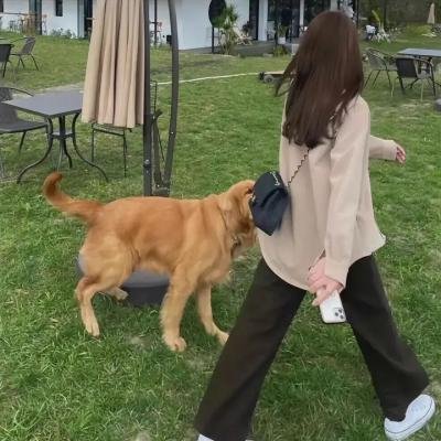 寻找贾克